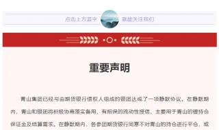 青山集团镍 青山集团镍